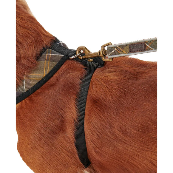 Barbour - Pettorina per cani Tartan - Pettorine