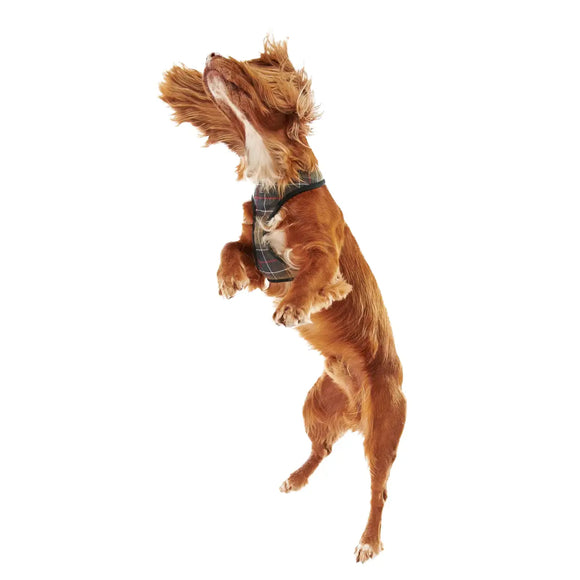 Barbour - Pettorina per cani Tartan - Pettorine