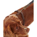 Barbour - Pettorina da viaggio e esercizio - Pettorine