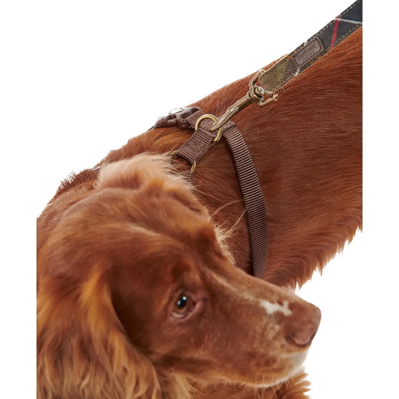 Barbour - Pettorina da viaggio e esercizio - Pettorine