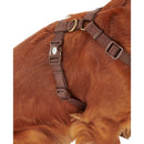 Barbour - Pettorina da viaggio e esercizio - Pettorine