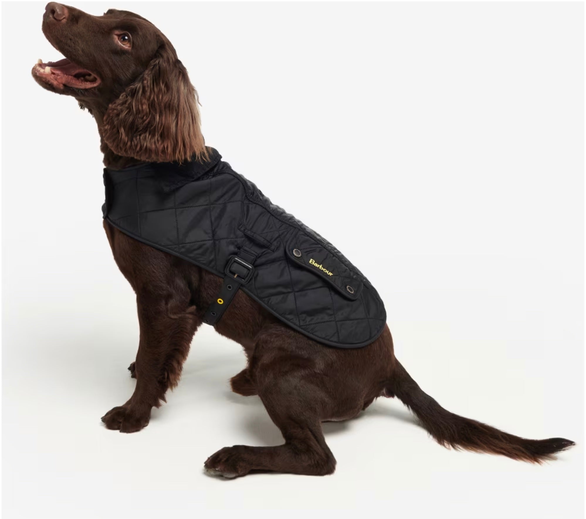 Barbour - Polar Hundemantel