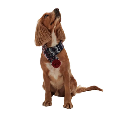 Barbour - Sciarpa per cani con fantasia Fair Isle - Maglioncini