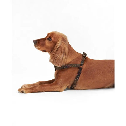 Barbour - Tartan imbracatura regolabile per cani a 5 punti - Pettorine