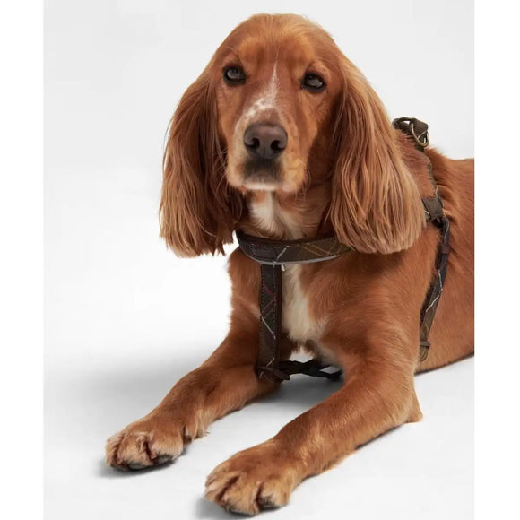 Barbour - Tartan imbracatura regolabile per cani a 5 punti - Pettorine