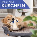 Ne&no® Robustes Hundespielzeug mit Quietscher - Waschbär Wally-5