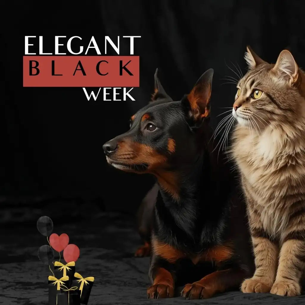 Black Friday per il tuo cane