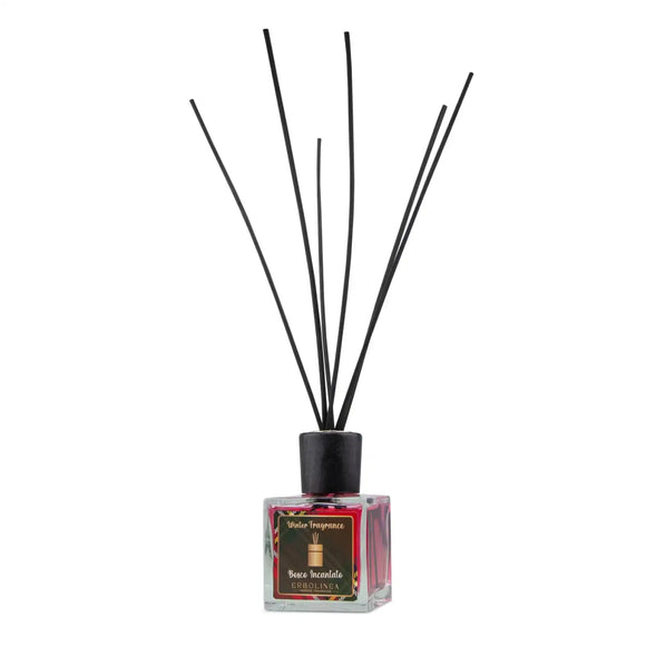 Ambientadores Winter – Sabores de Invierno y Bosque Encantado