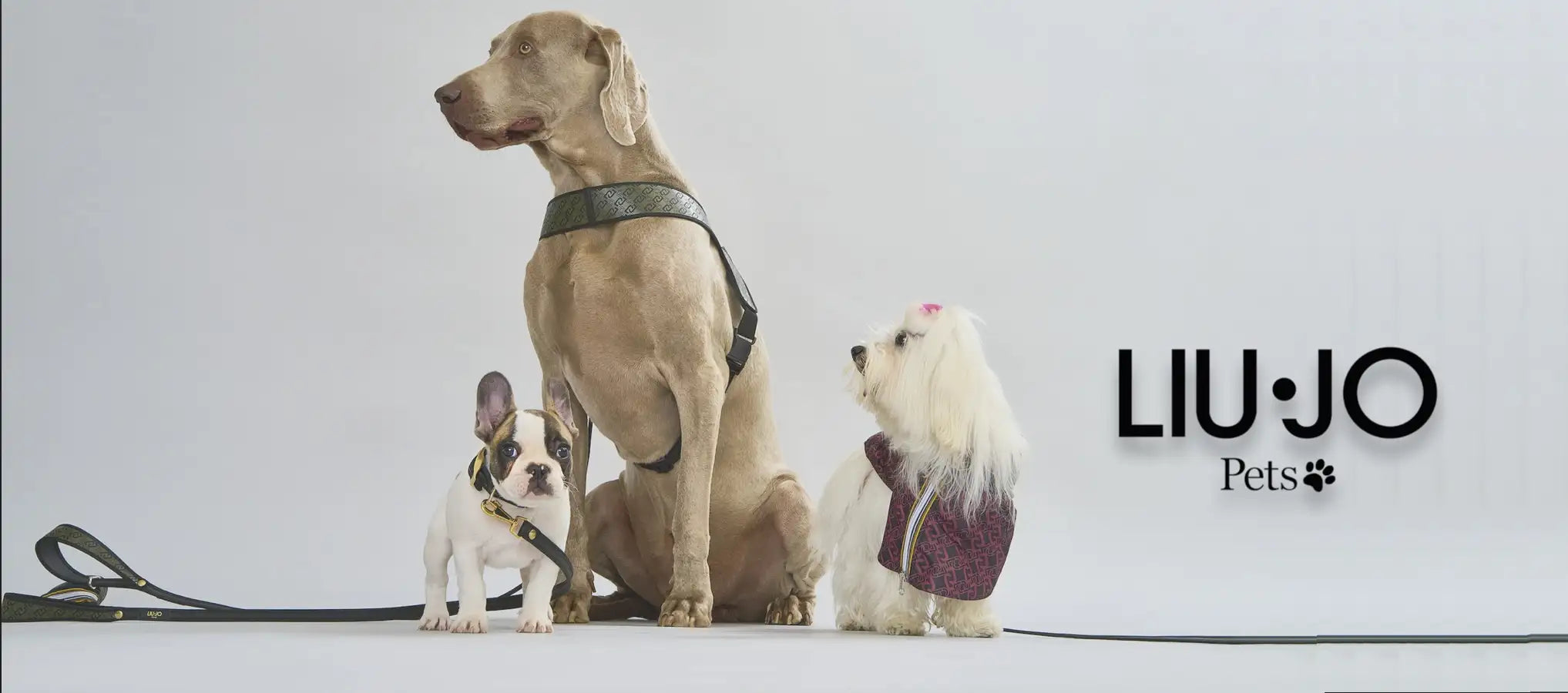 Pet Boutique - Liu Jo pets
