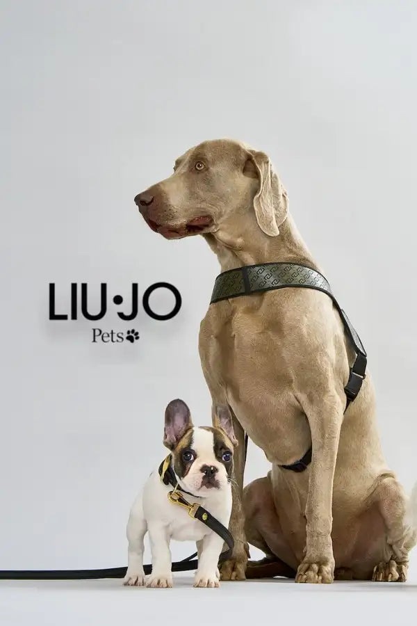 Pet Boutique - Liu Jo pets