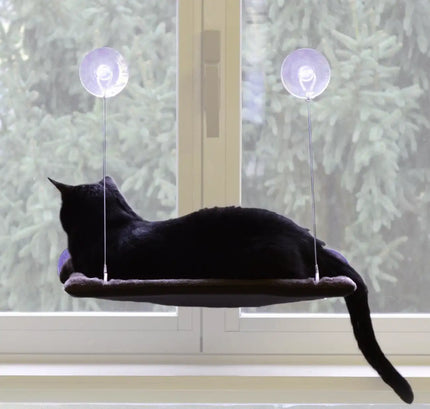 United Pets - Vista de Gato