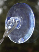 United Pets - Cat View-3