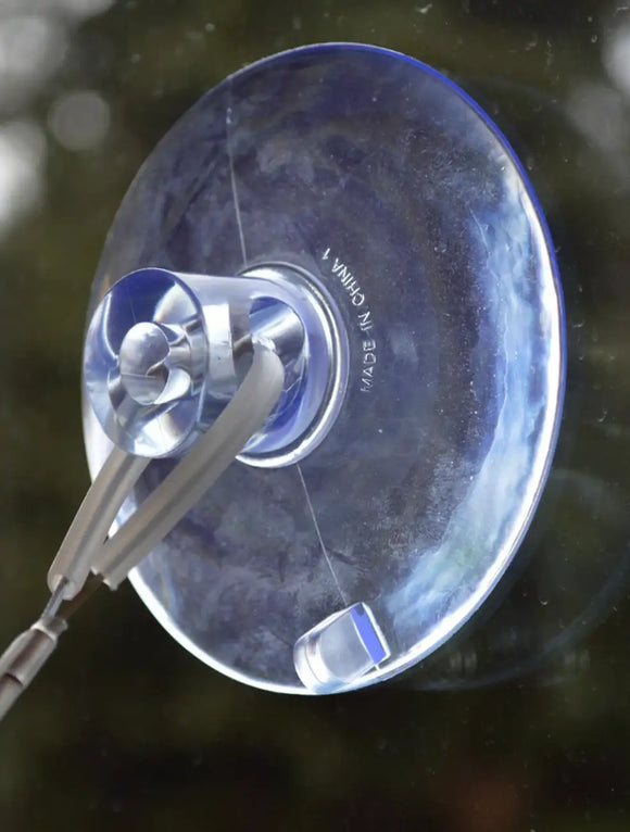 United Pets - Cat View