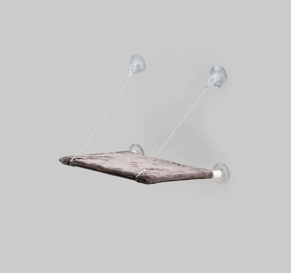 United Pets - Cat View