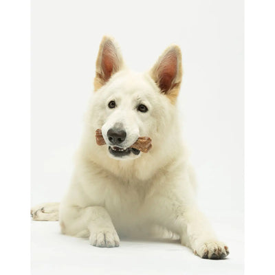 Cheewi - Osso al Formaggio e burro di arachidi - L (>20 Kg) - Super Premium