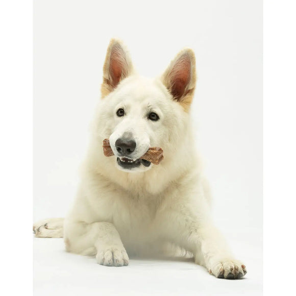 Cheewi - Osso al Formaggio e burro di arachidi - L (>20 Kg) - Super Premium