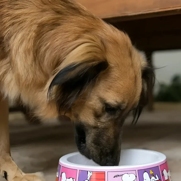 Ciotola Charlie Brown Quad Pink - Ciotole