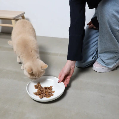 Hoopo Ciotola per gatti Plate - 0