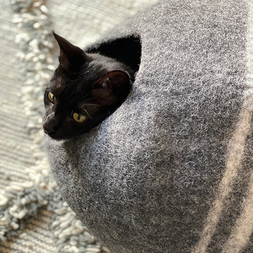 Mishum - Cat Caves Cocoon