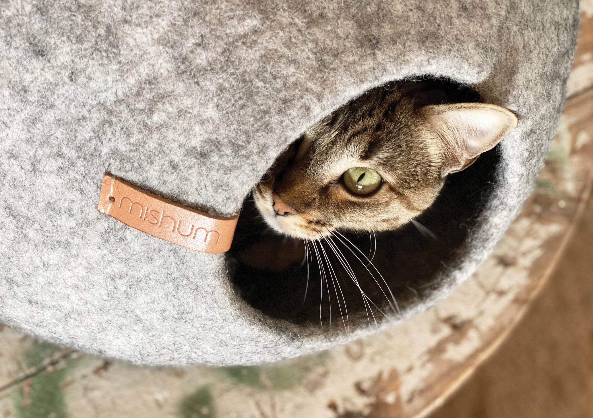 Mishum - Cat Caves Cocoon