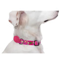 Collare Charlie Brown Pink Flower - Collari