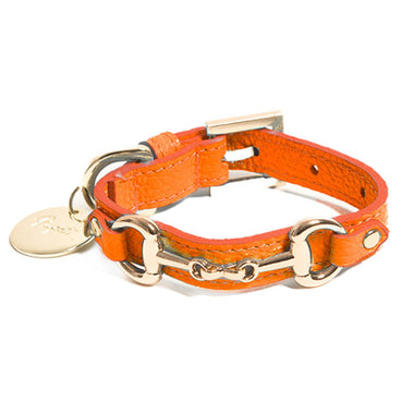 Compra arancione Pupet Couture - collare pelle con morsetto