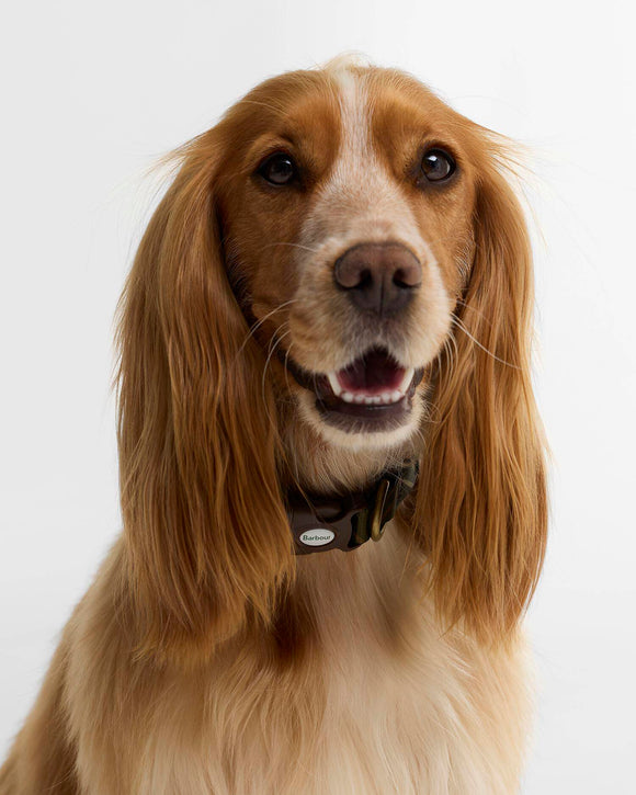 Barbour Collare per cani stampato in tartan