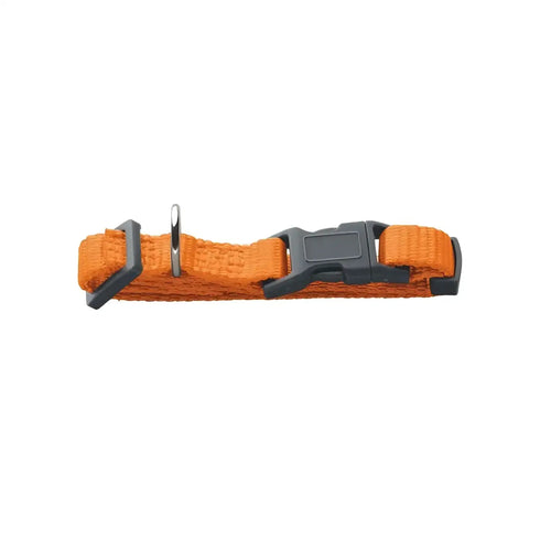 Collari London Arancione - L 34-56