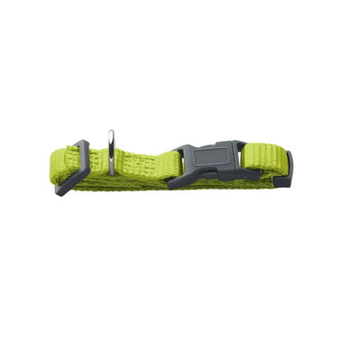 Collari London Lime