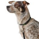 Collari Tripoli Nero - inserti riflettenti