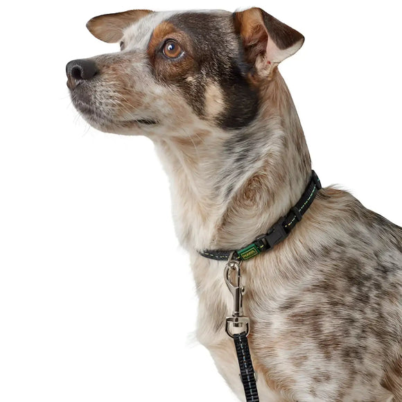 Collari Tripoli Nero - inserti riflettenti