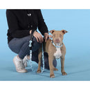 Complete Me - Guinzaglio ’Writing’ - Guinzagli