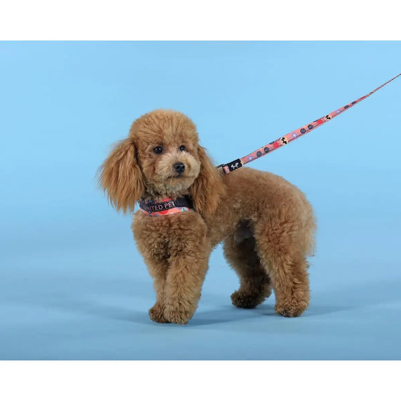 Complete Me - Pettorina ’Forever’ - Pettorine