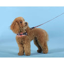 Complete Me - Pettorina ’Forever’ - Pettorine