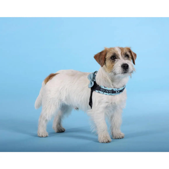 Complete Me - Pettorina ’Writing’ - Pettorine