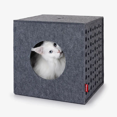 Hoopo Würfel - Spiel aus Filz für Katzen