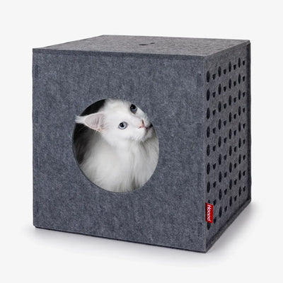 Hoopo Cube - felt plaything for cats