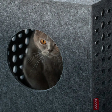 Hoopo Cube - gioco in feltro per gatti - 0