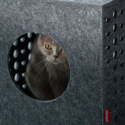 Hoopo Cube - gioco in feltro per gatti - 0