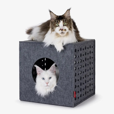 Hoopo Würfel - Spiel aus Filz für Katzen - 0
