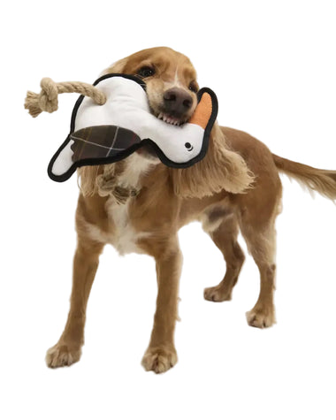 Barbour - Giocattolo per cani a forma di uccello marino - 0