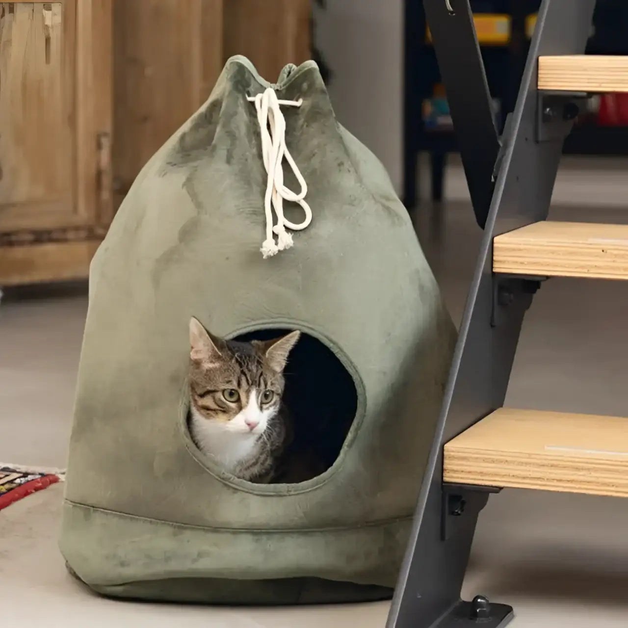 Designed By Lotte - Cat Home Vilar Verde - Cucce