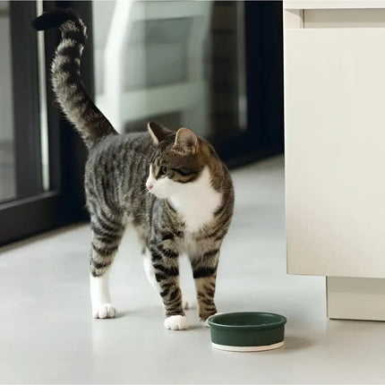 Designed By Lotte - Ciotola Ceramica Joa Terra cotta - Terracotta - Ciotole