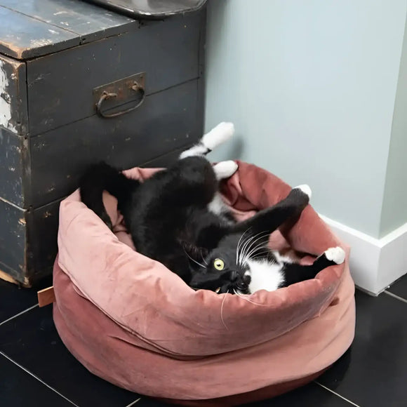 Designed By Lotte - Cuccia Gatto Fluco Grigio - Cucce