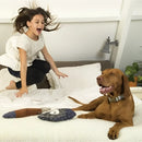 Designed By Lotte - Pupazzo Tessuto Procione - procione - Giochi