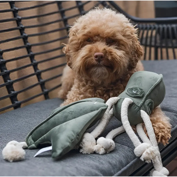 Designed By Lotte - Razza Anum in Velluto Grigio - grigio - Giochi