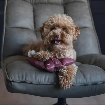 Designed By Lotte - Razza Anum in Velluto Grigio - grigio - Giochi