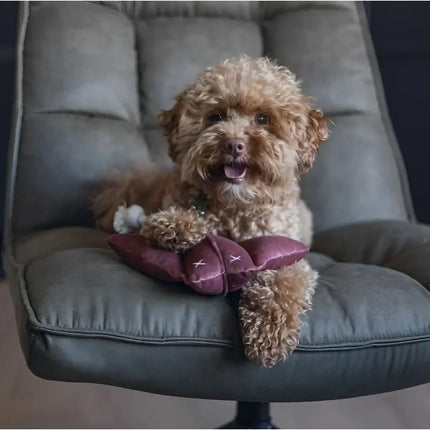 Designed By Lotte - Razza Anum in Velluto Grigio - grigio - Giochi