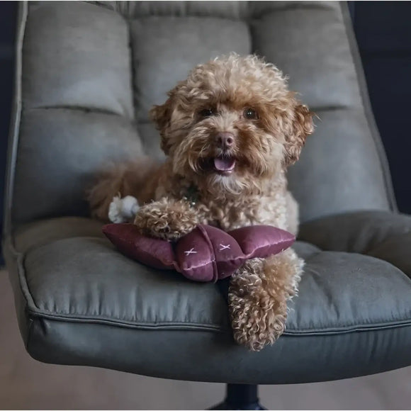 Designed By Lotte - Razza Anum in Velluto Grigio - grigio - Giochi