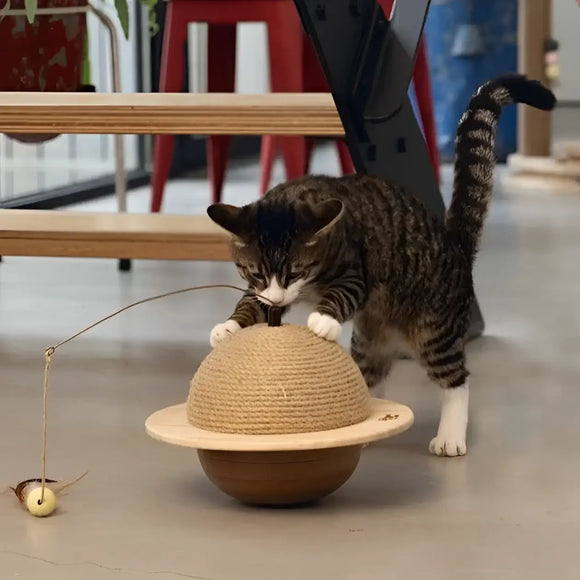 Designed By Lotte - Tiragraffi Legno Globo - 1 Pz